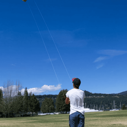 Slingshot Practice Trainer Kite