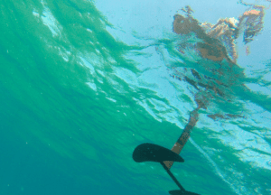 Liquid Force Hydrofoil w/ Fish Combo