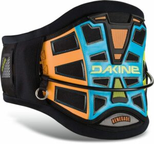 Dakine Renegade