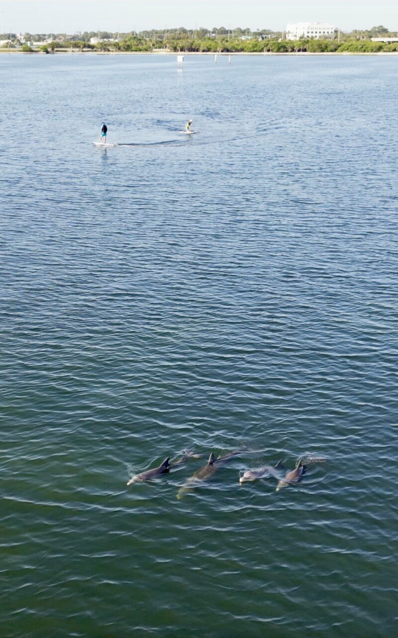 eFoil Lesson - Electric Hydrofoil Session - Image 25